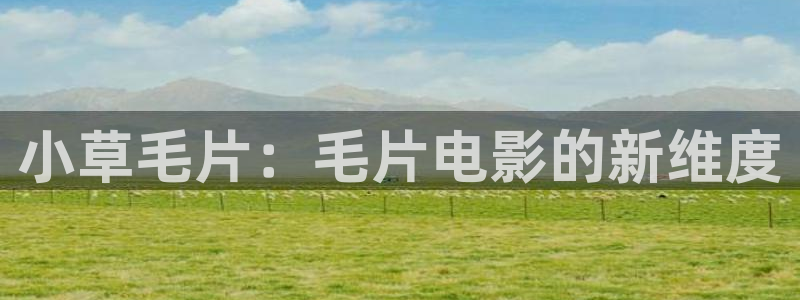 神马电影西瓜